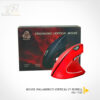 "OU1105" MOUSE INALAMBRICO VERTICAL V7 ROWELL.